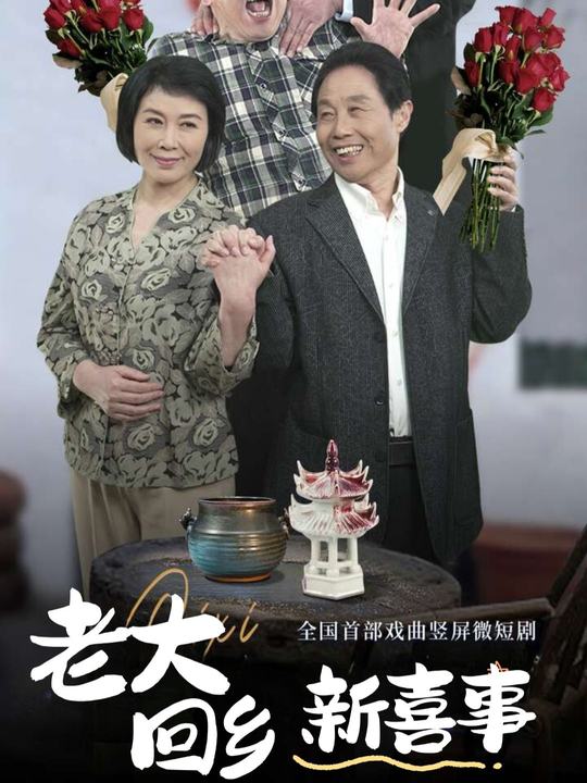老大回乡新喜事封面