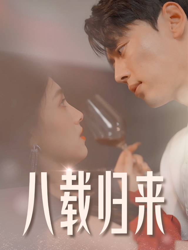 八载归来封面