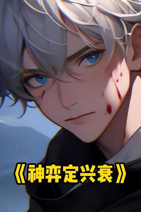神弈定兴衰封面