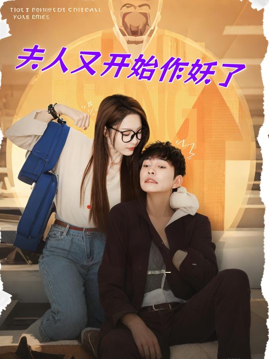 夫人又开始作妖了封面