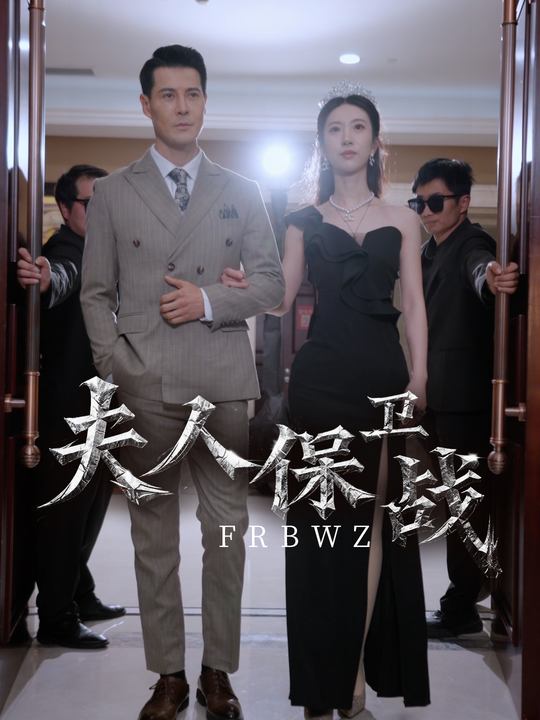 夫人保卫战封面