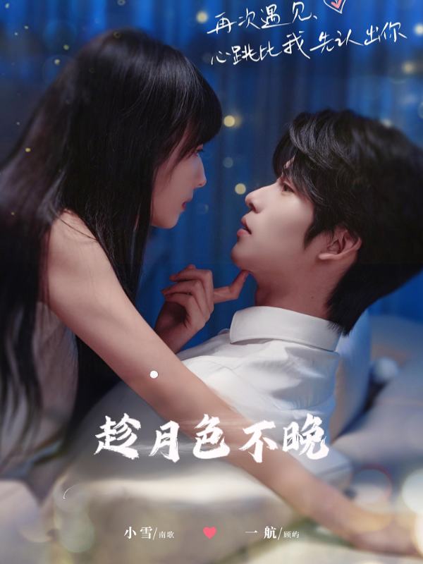 趁月色不晚封面