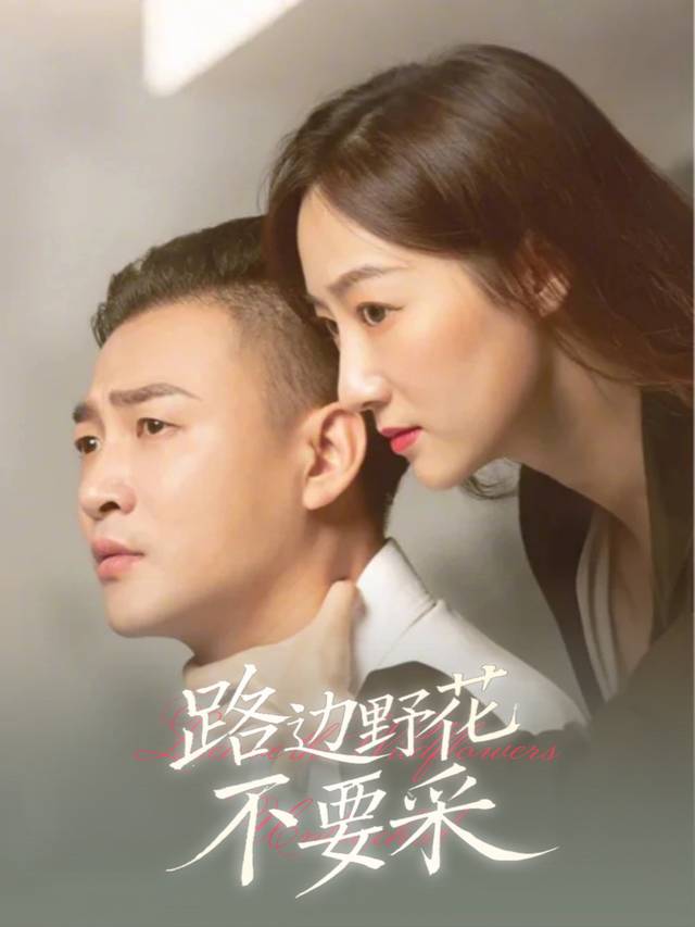 路边野花不要采封面