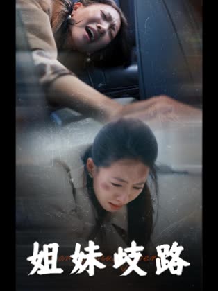 姐妹歧路封面