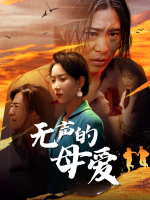 无声的母爱封面
