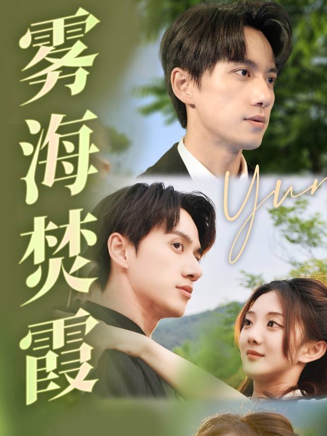 雾海焚霞封面