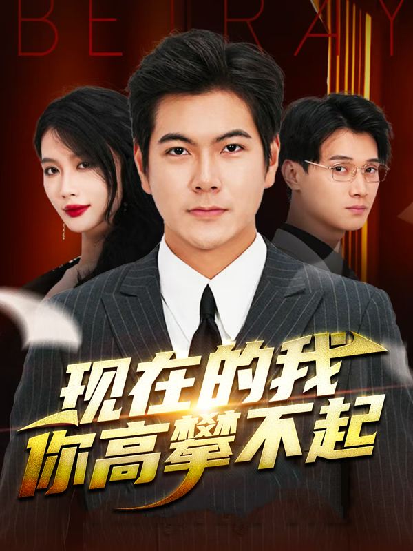 现在的我,你高攀不起封面