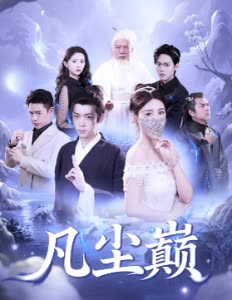 凡尘巅封面