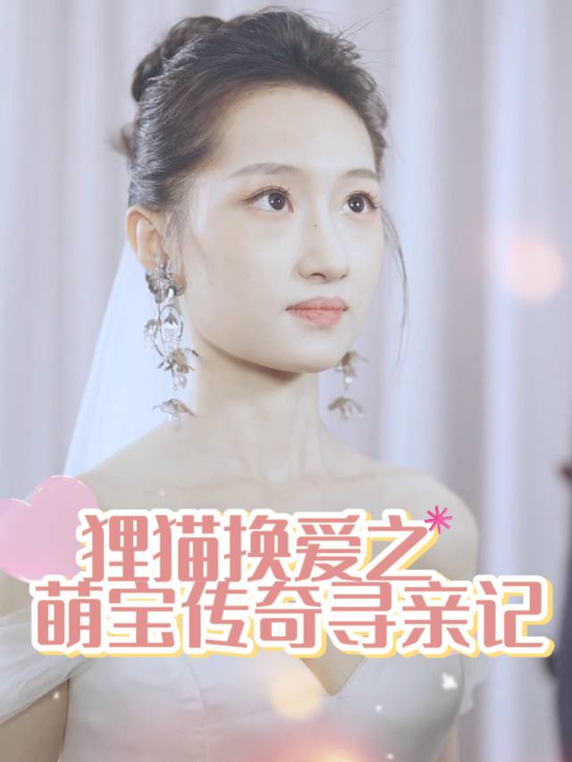 狸猫换爱之萌宝传奇寻亲记封面