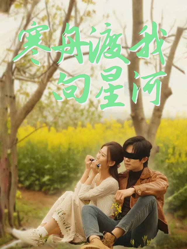 寒舟渡我向星河封面