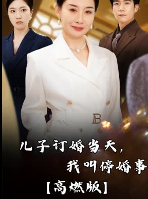 儿子订婚当天,我叫停婚事【高燃版】封面