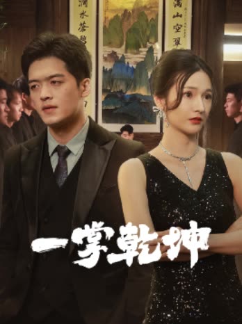 一掌乾坤封面