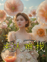 夫人难找封面