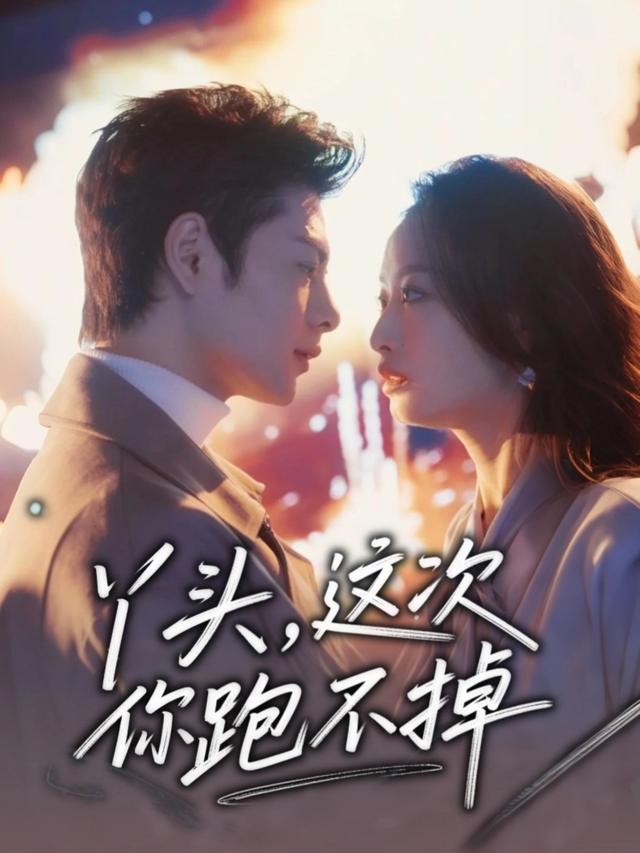 丫头，这次你跑不掉封面