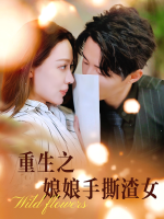 重生之娘娘手撕渣女封面