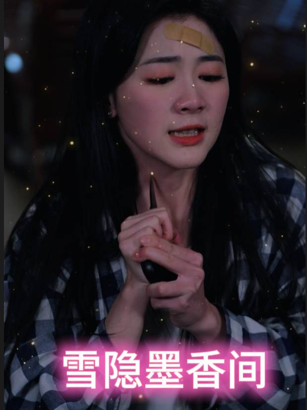 雪隐墨香间封面