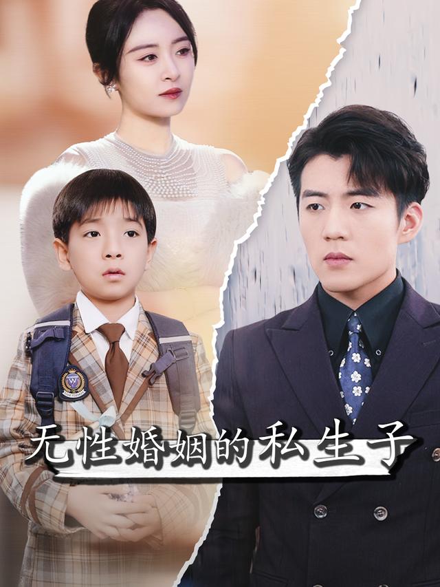 婚姻的私生子封面