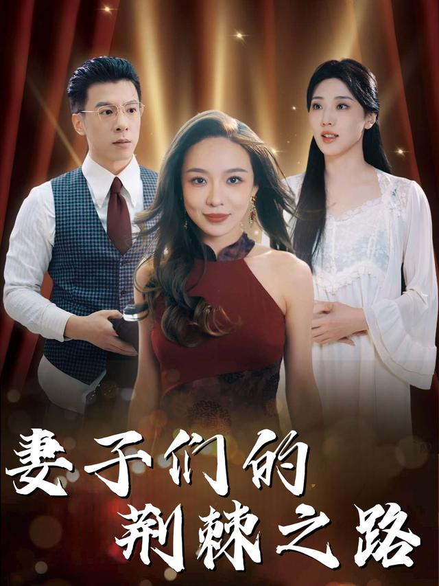 妻子们的荆棘之路封面