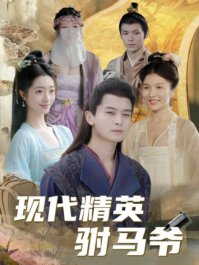 现代精英驸马爷封面