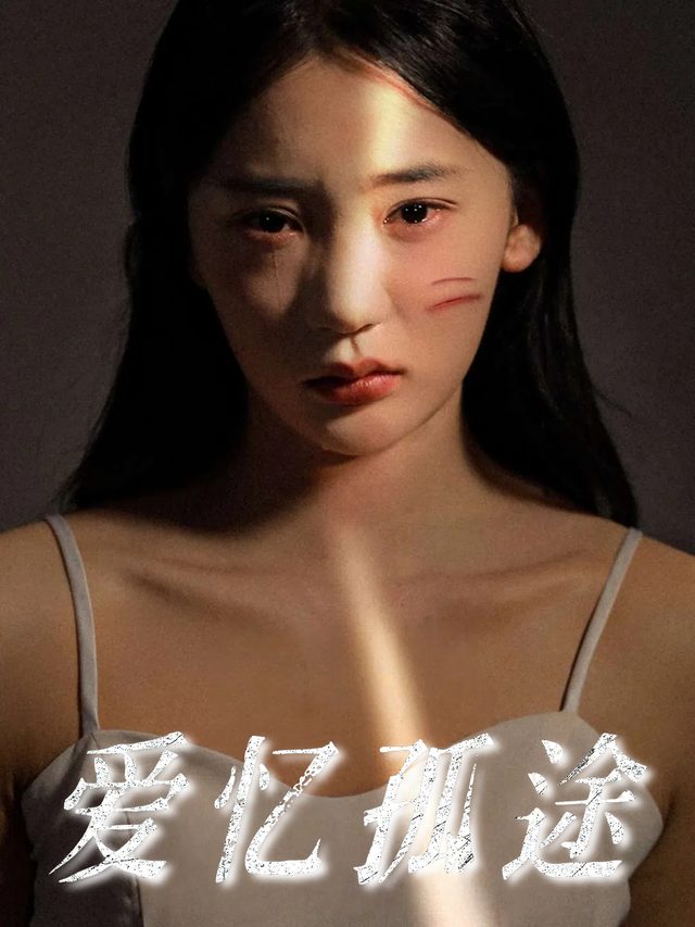 爱忆孤途封面