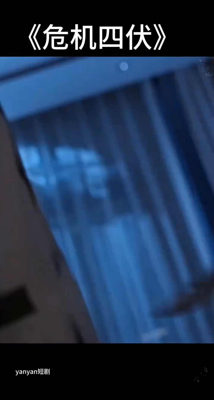 危机四伏封面