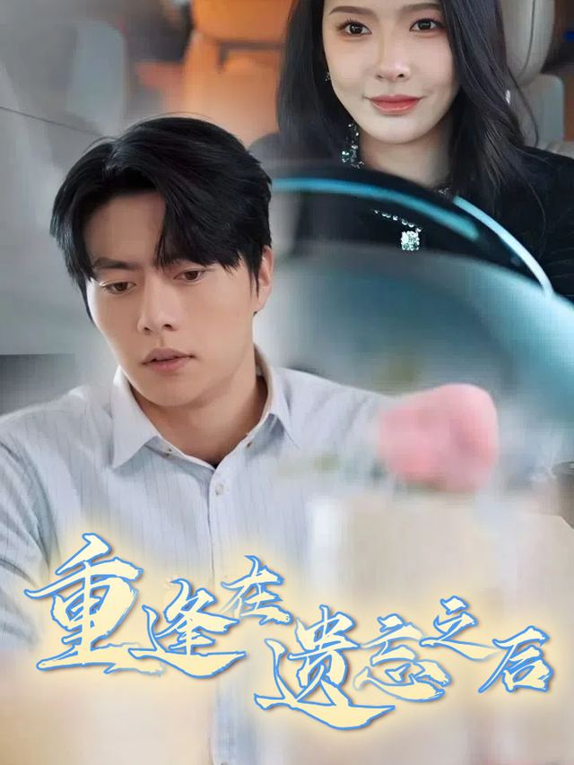 重逢在遗忘之后封面