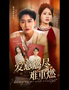 爱意燃尽难重燃封面