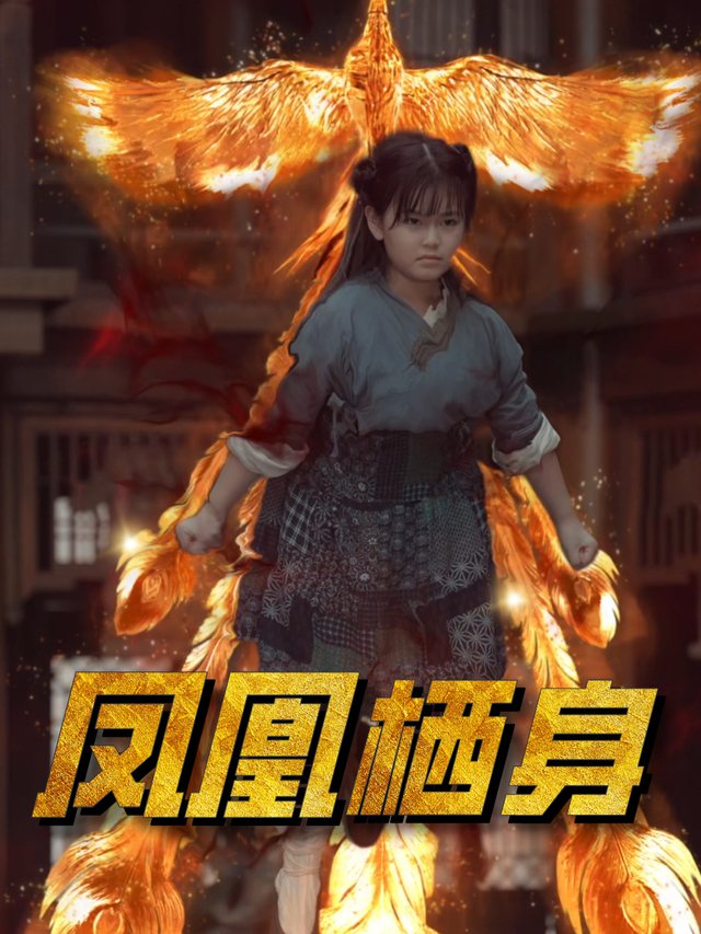凤凰栖身封面