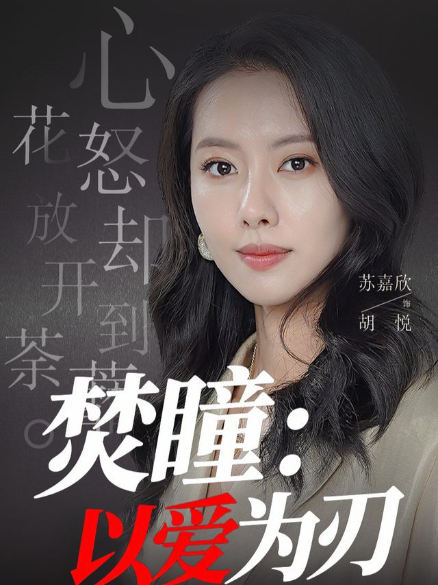焚瞳:以爱为刃封面