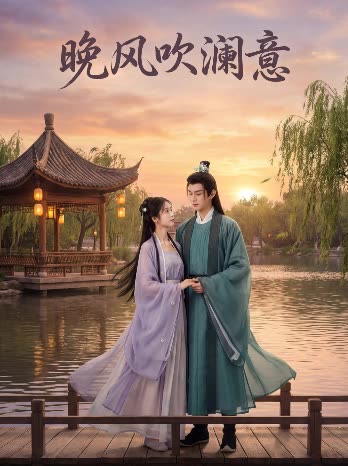 晚风吹澜意。封面