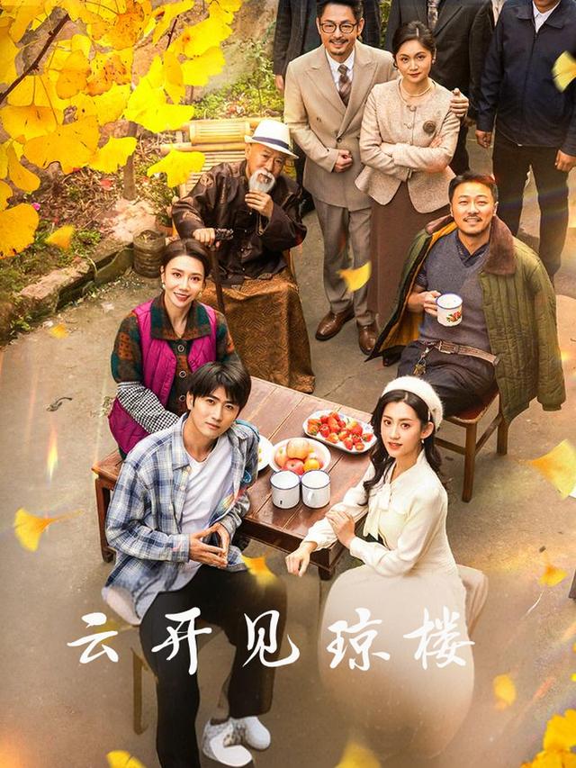 云开见琼楼封面