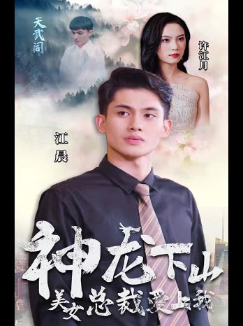 神龙下山美女总裁爱上我封面