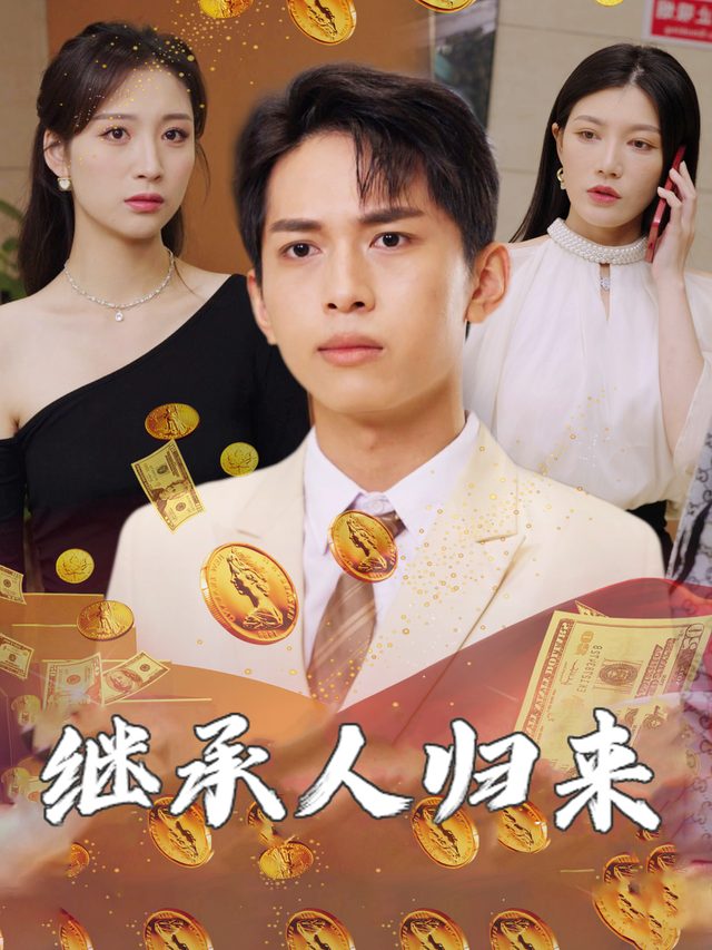 继承人归来封面