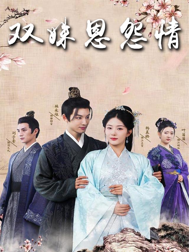 双姝恩怨情封面