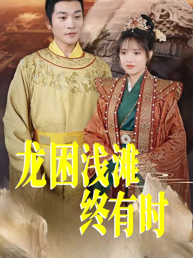 龙困浅滩终有时封面