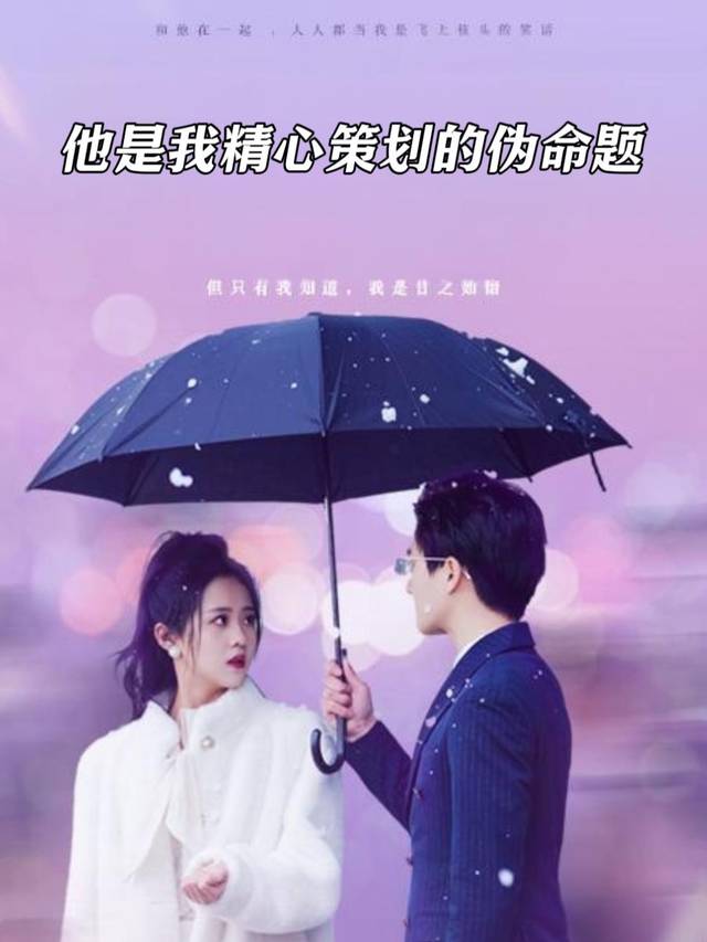 他是我精心策划的伪命题封面