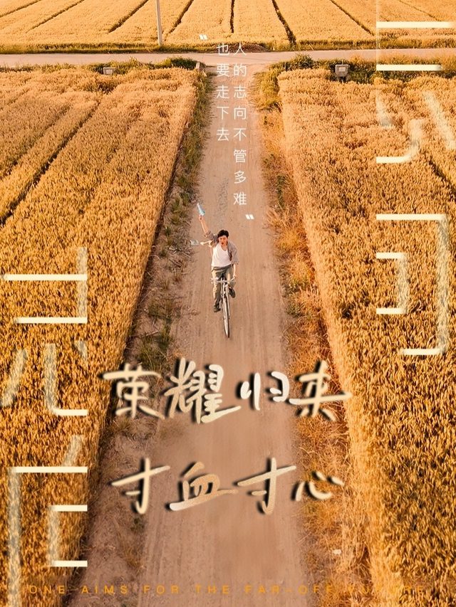 荣耀归来,寸血寸心封面