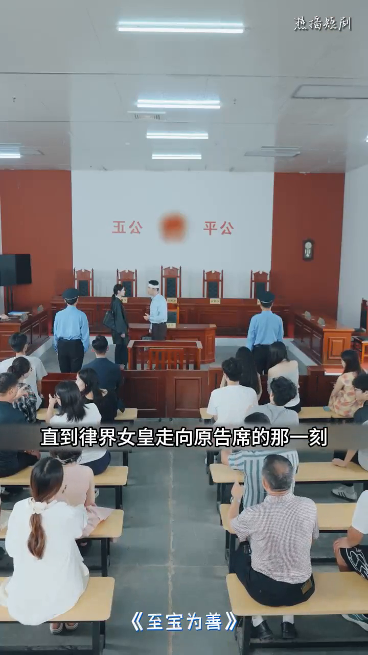 至宝为善封面