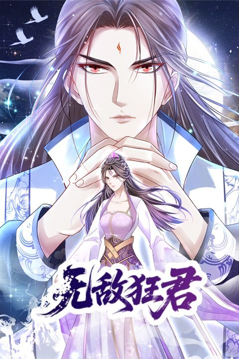 无敌狂君封面