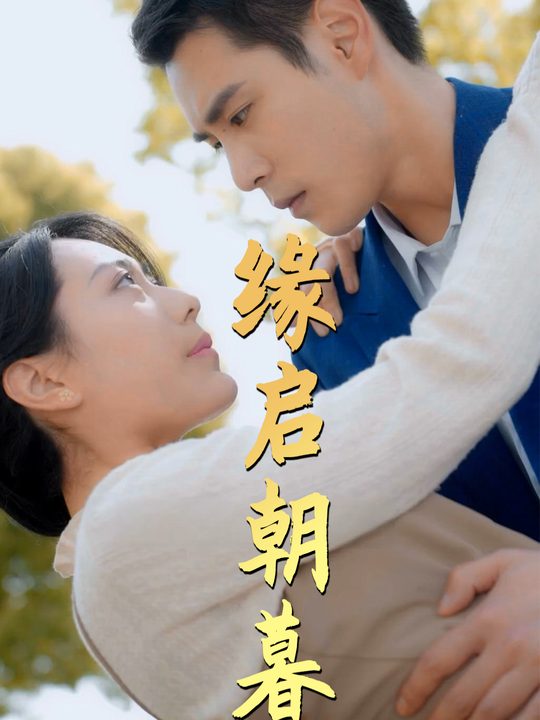 缘启朝暮封面