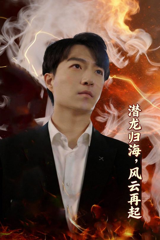 潜龙归海,风云再起封面