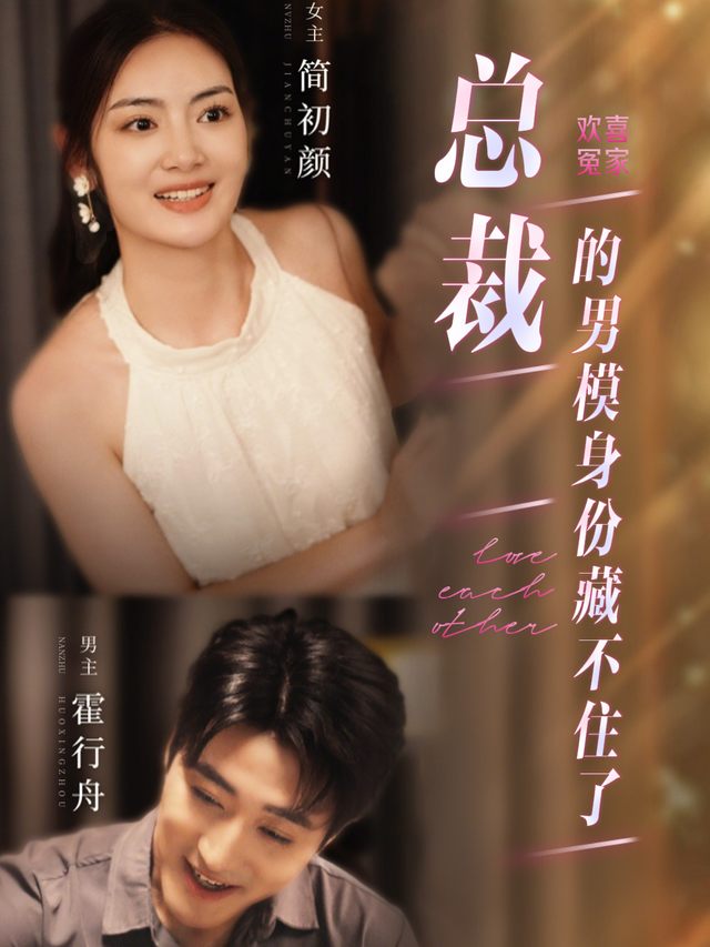总裁的男模身份藏不住了封面