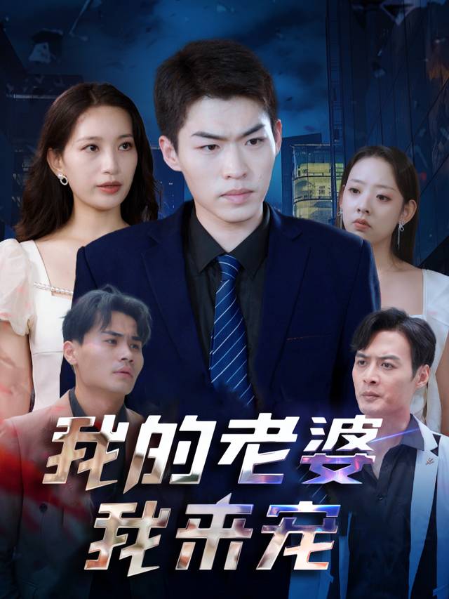 我的老婆我来宠封面