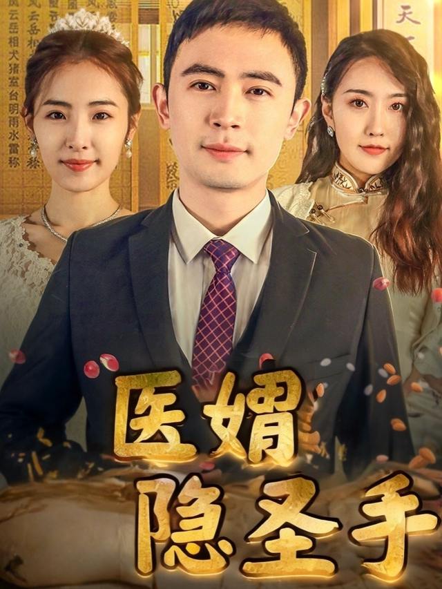 医婿隐圣手封面