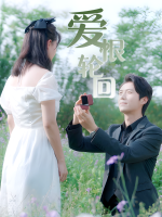 爱恨轮回封面