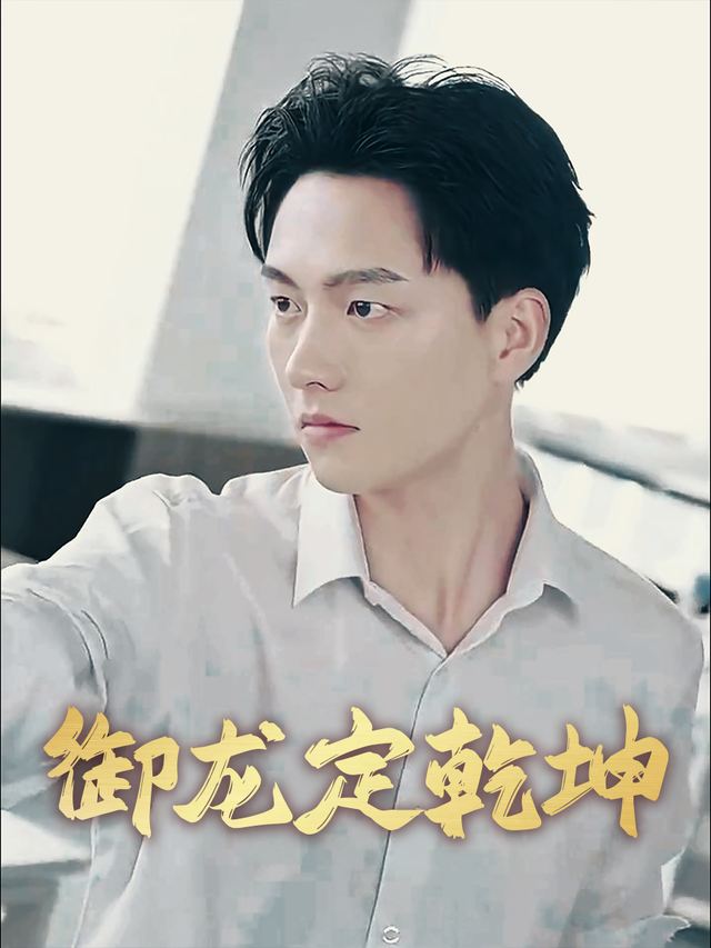 御龙定乾坤封面