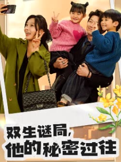 双生谜局他的秘密过往封面