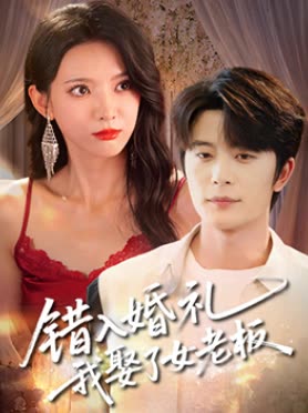 错入婚礼,我娶了女老板封面