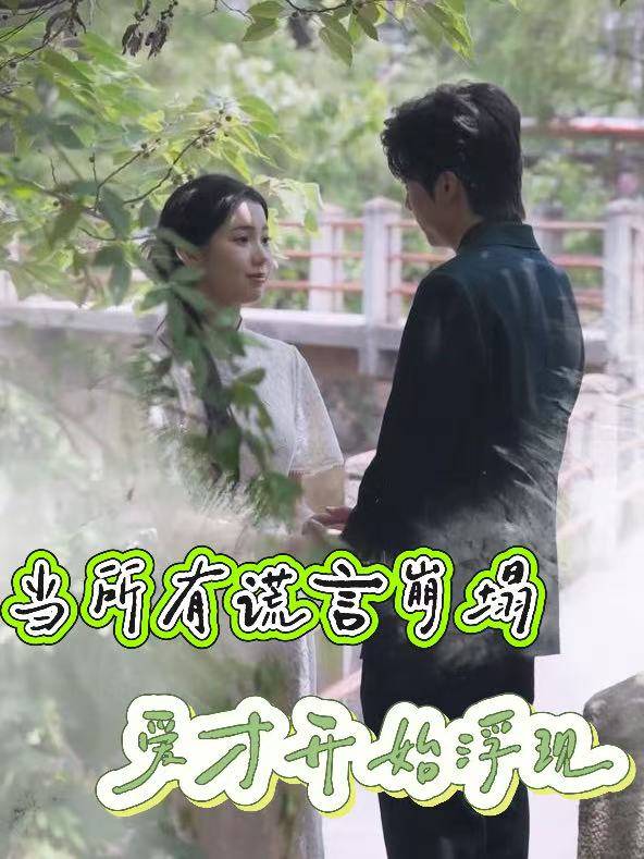 当所有谎言崩塌,爱才开始浮现封面