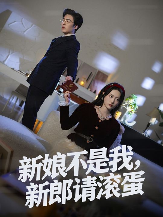 新娘不是我，新郎请滚蛋封面